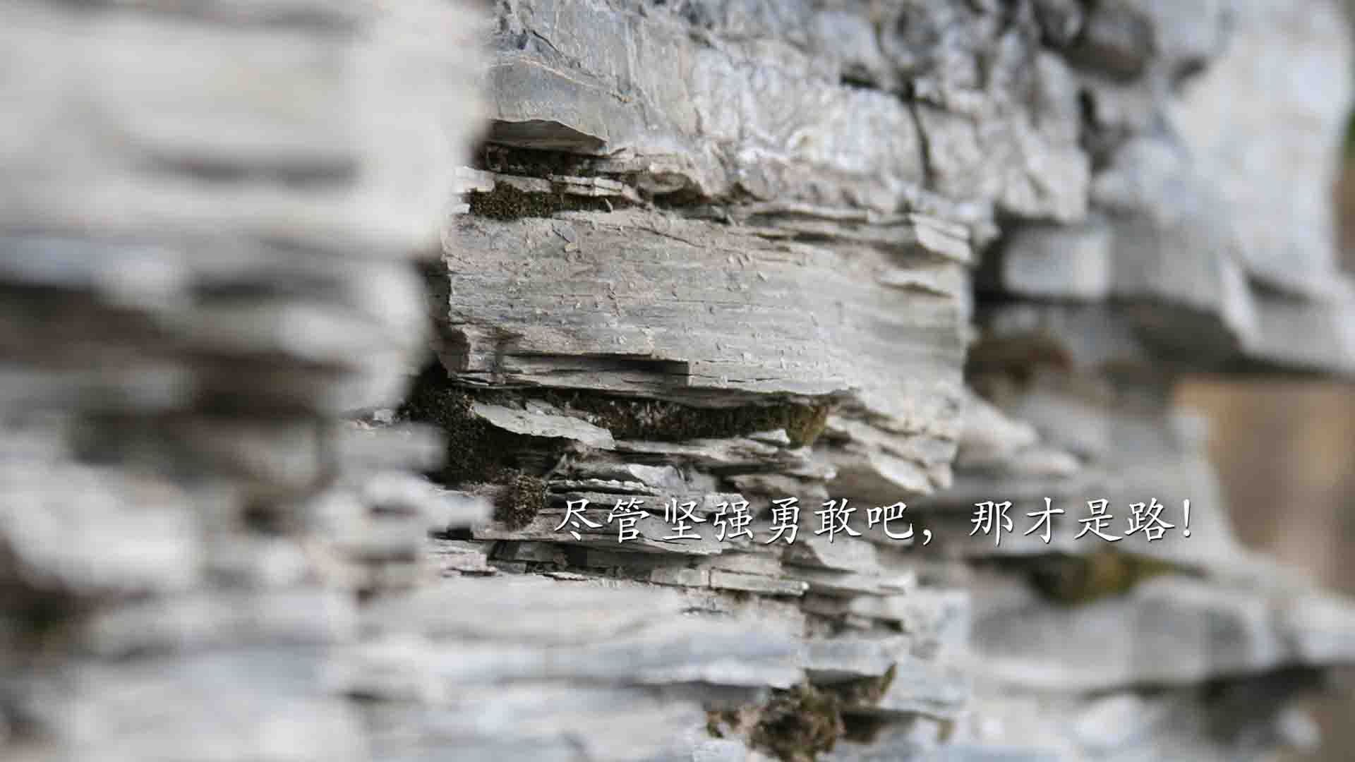 “科技突破:人工智能助力赛场革新”,科技创新人工智能大赛作品