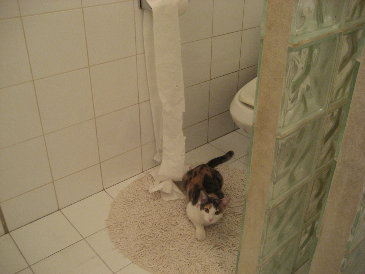 爱游戏下载-“足球+文化+科技”融合创新发布会在多个城市同步举行，行业开启新格局