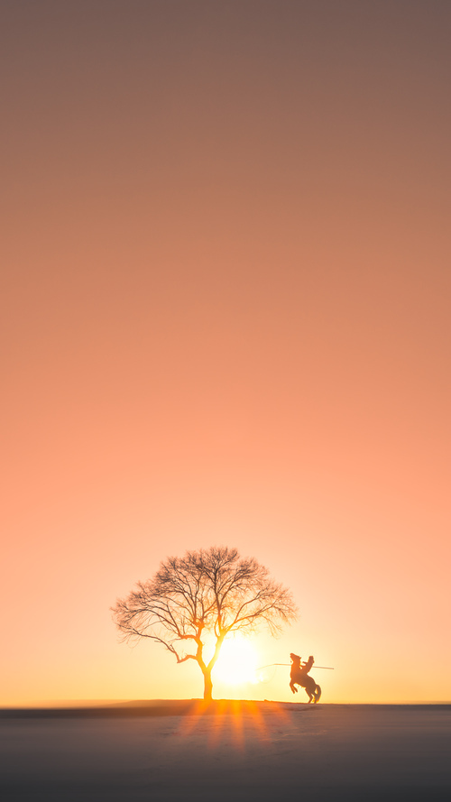 摩洛哥马术协会与国际马术联合会合作,举办国际马术交流活动,促进技术交流。