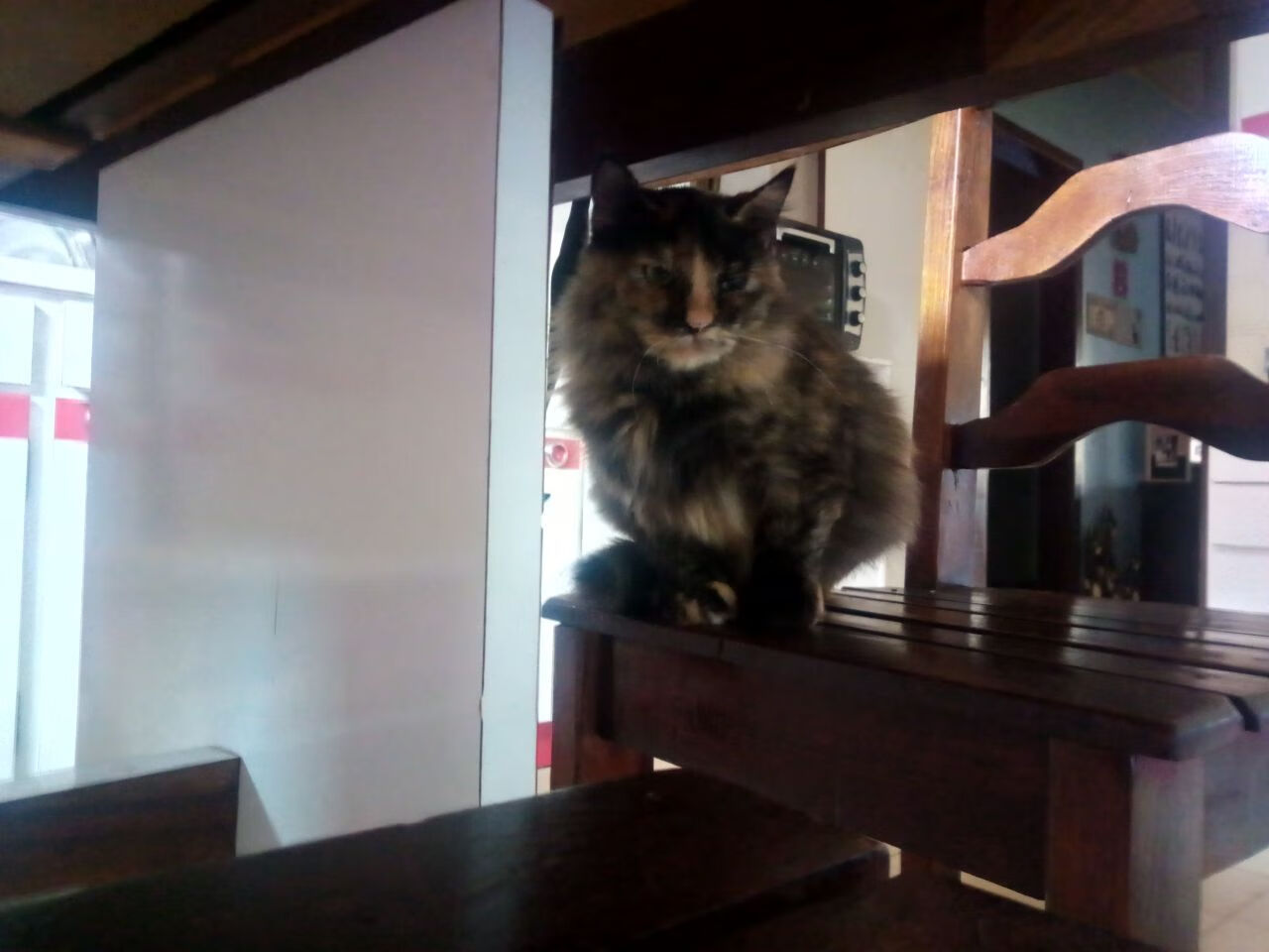 欧冠比赛中的战术误区与成功要素,欧冠战争