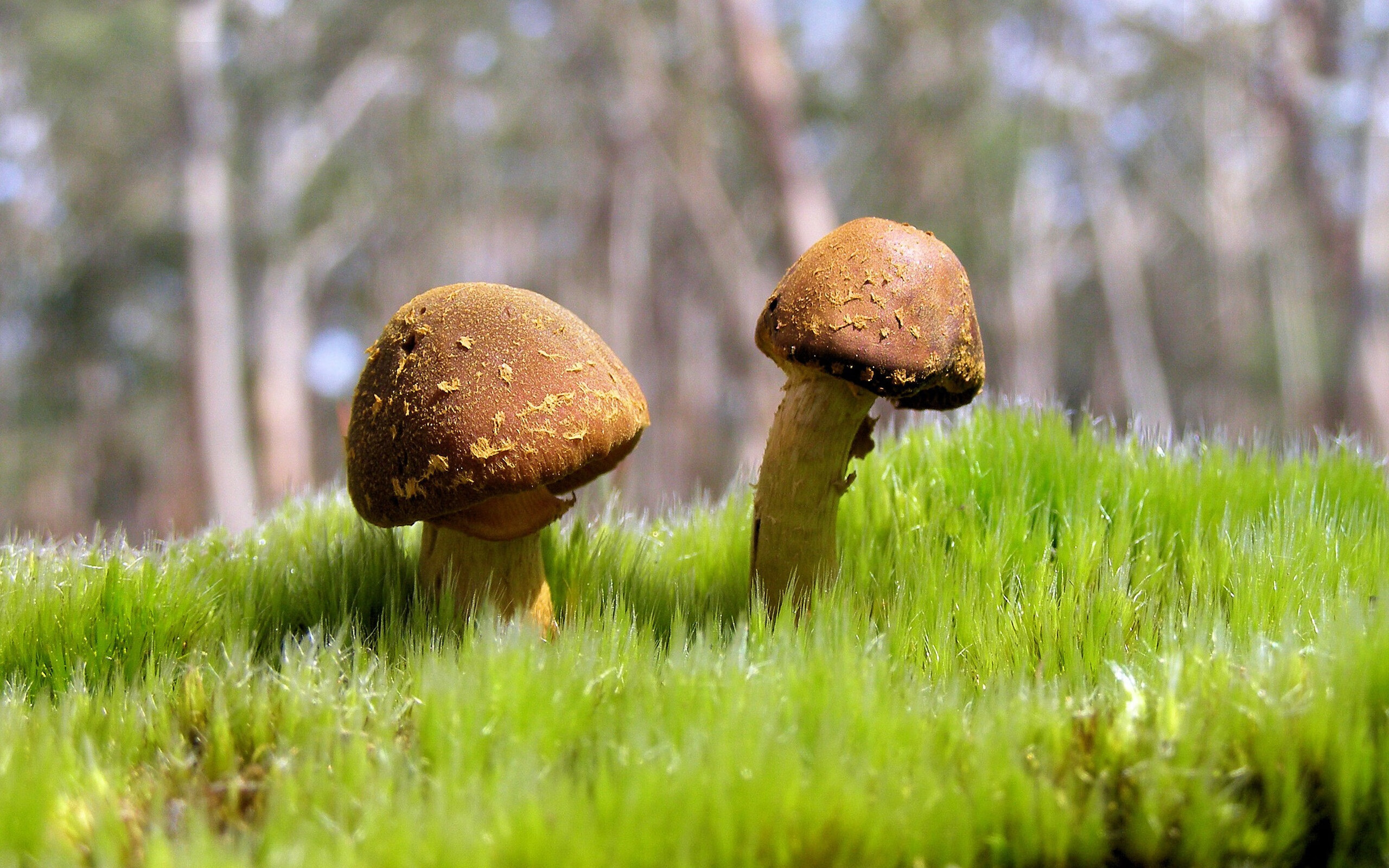 法国小将世界波破门,拯救颜面,18年法国世界波