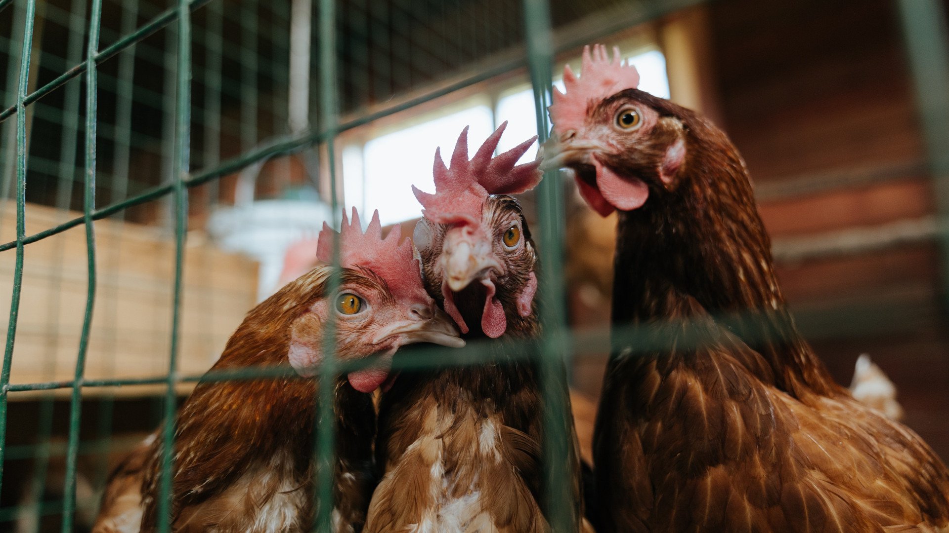 爱游戏app-电竞行业的商业模式：赞助、直播、周边与赛事门票，电竞产业模式