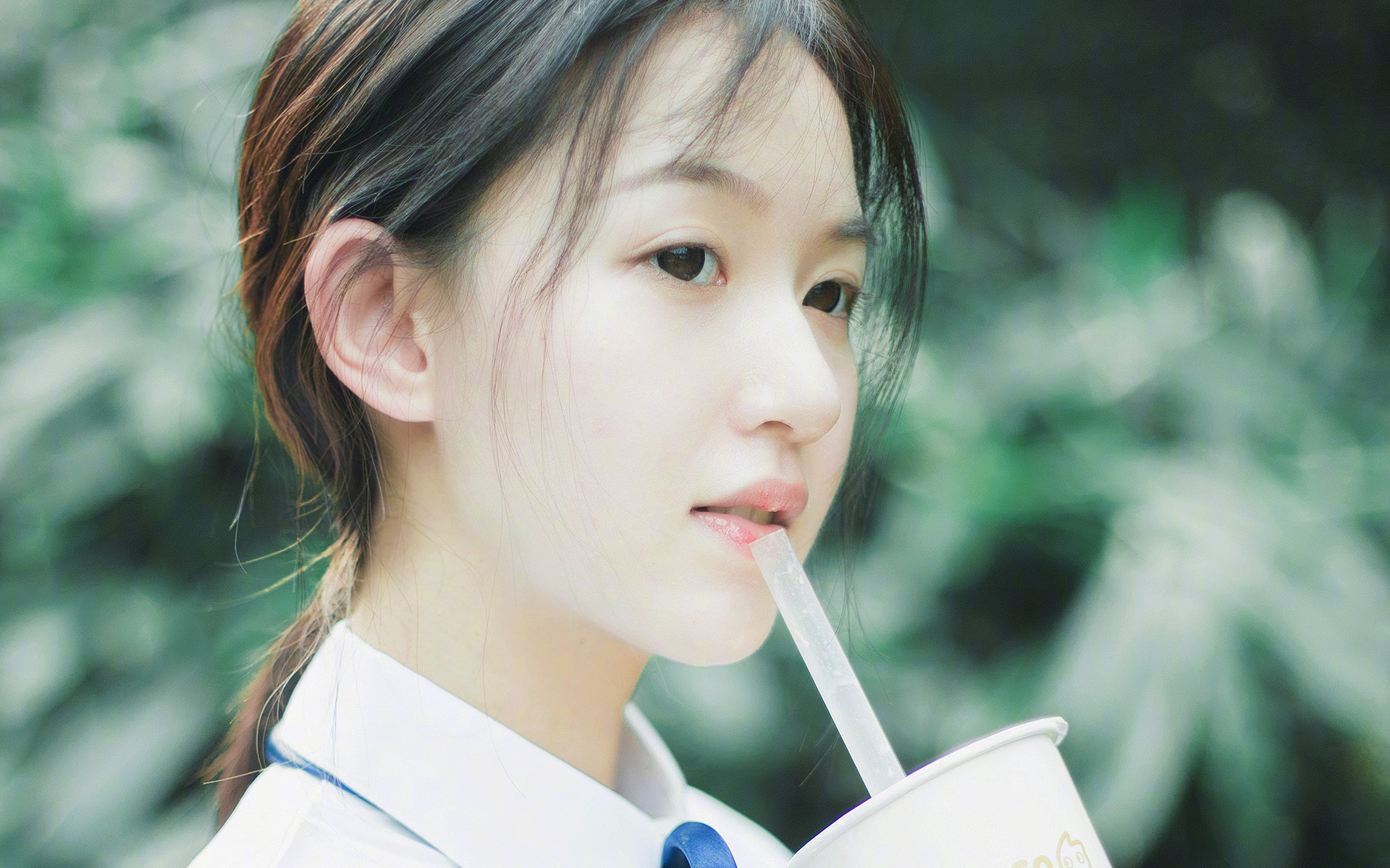 荣光时刻:伟大教练与球员的辉煌岁月