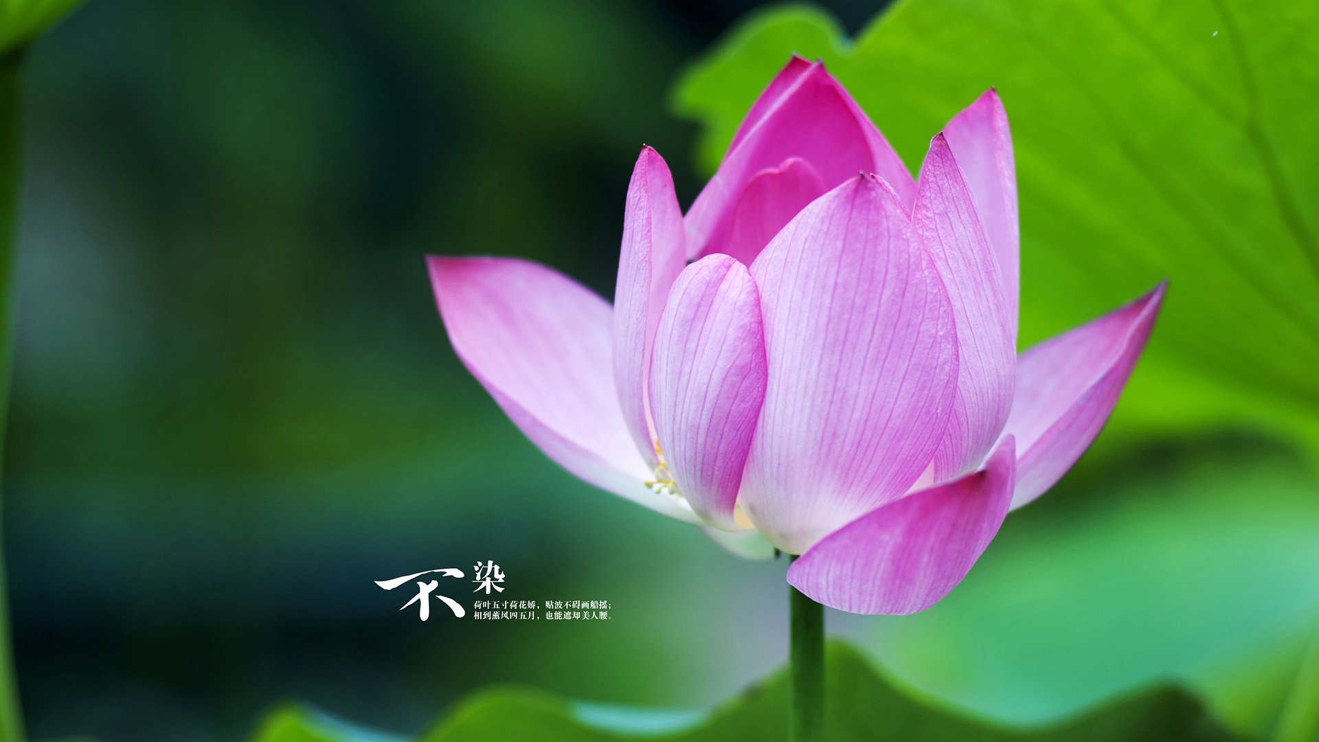 爱游戏体育平台-足球社交平台推出赛事话题挑战赛，足球聊天平台