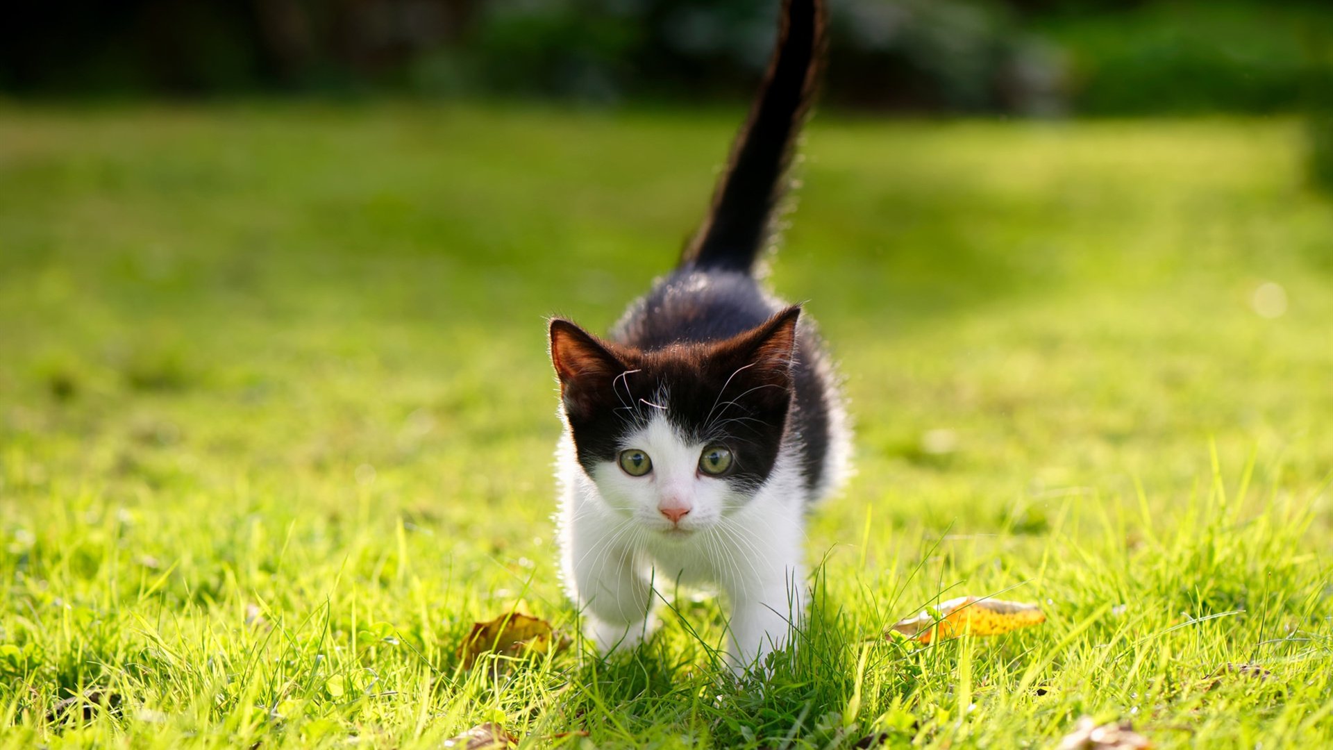 爱游戏中国官方网站平台-迈阿密热火“钢铁防线”让人敬畏，季后赛非常值得期待！，迈阿密热火队百度百科