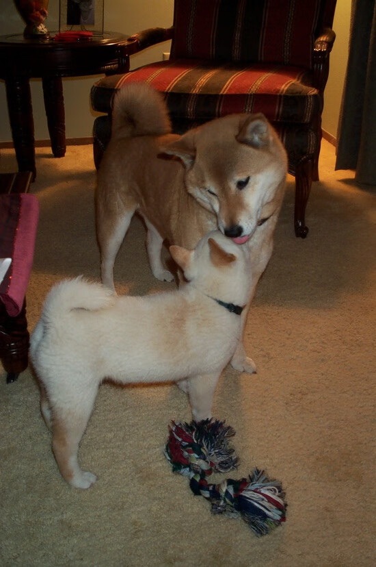 CBA球员齐聚训练场，奋力备战新赛季，cba球员训练时间