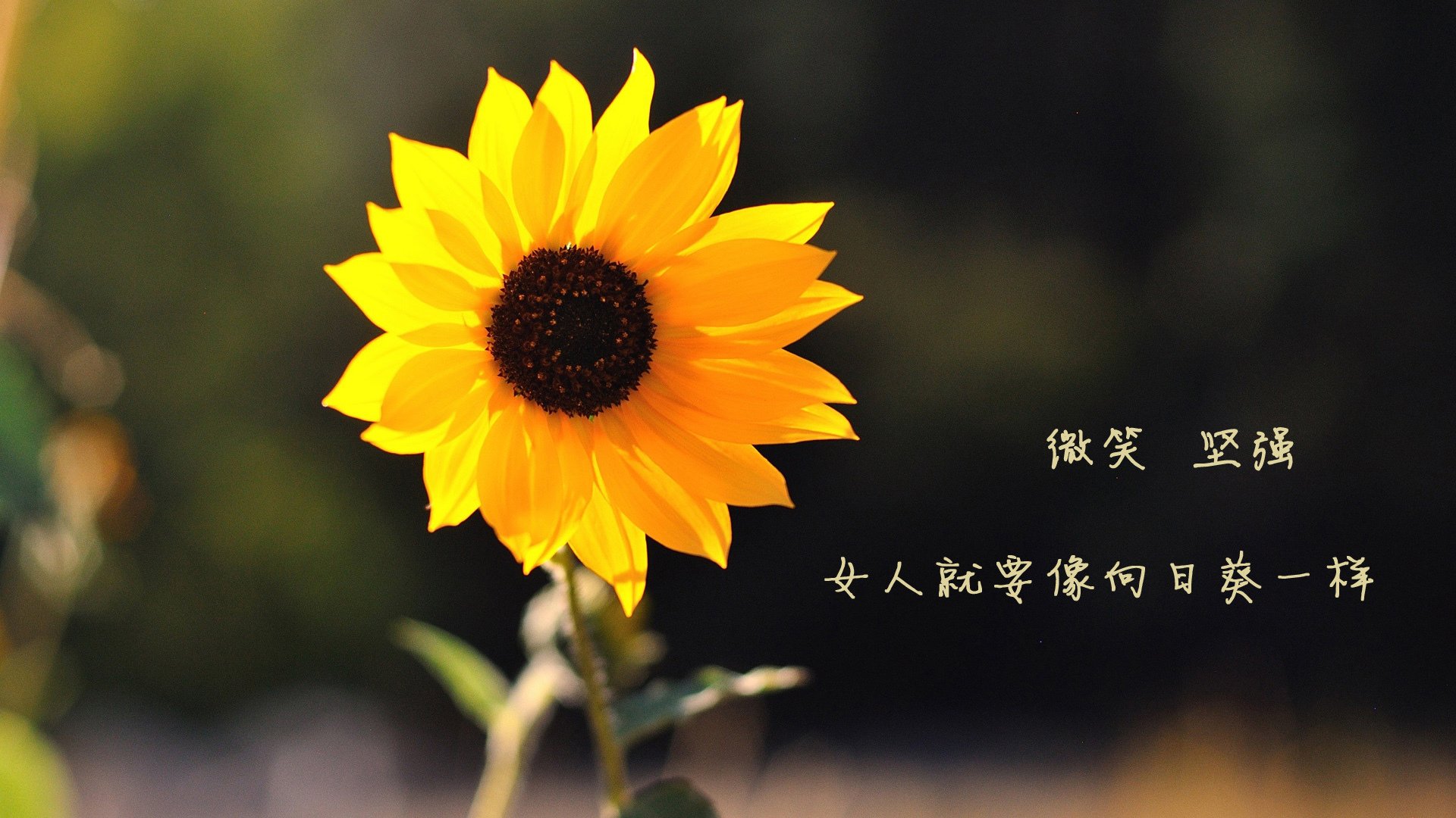 中国篮球青训人才流失防控措施，中国篮球青训人才流失防控措施最新