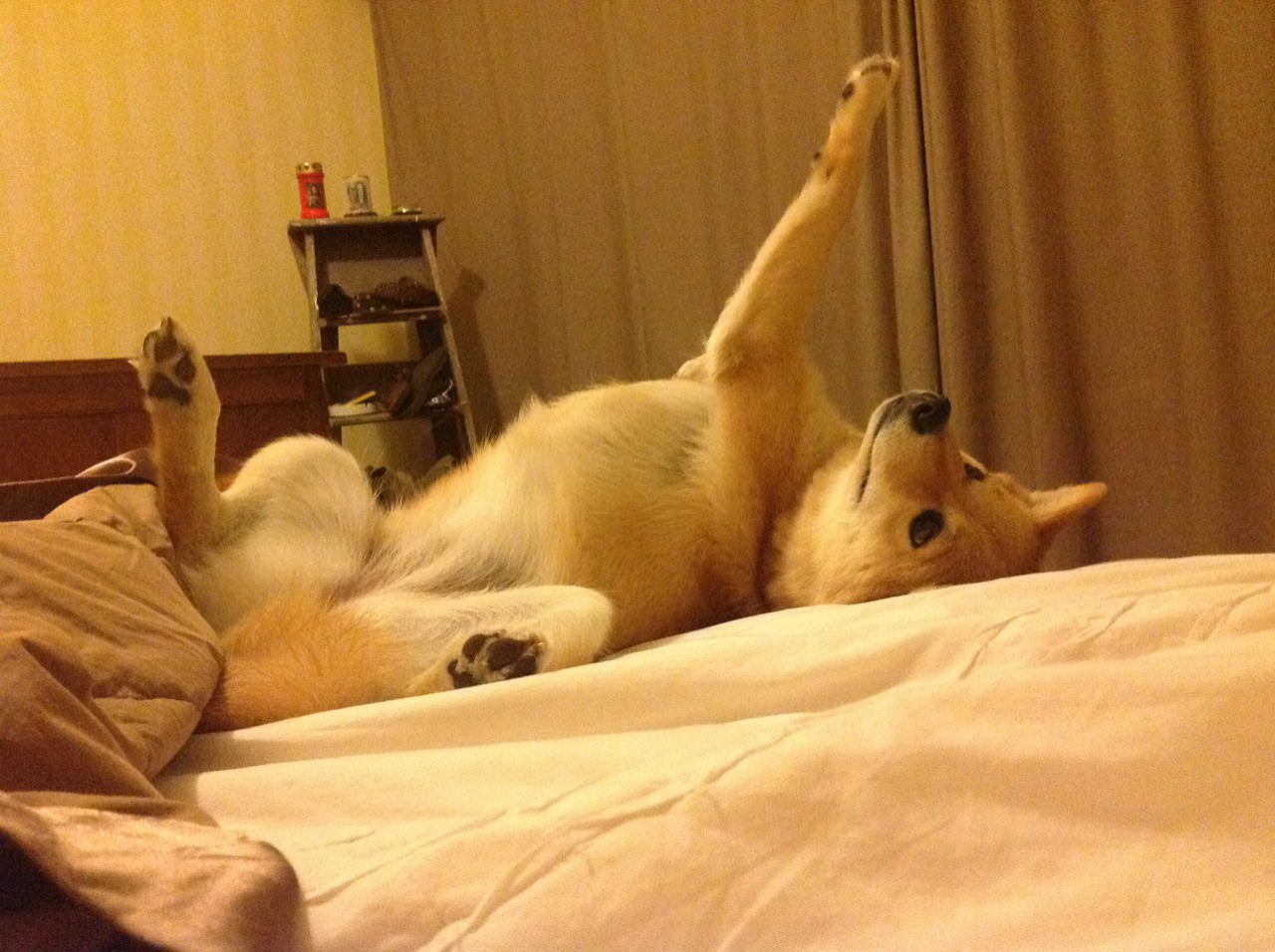 爱游戏中国官方网站平台-主队球员在比赛中频频获得进球机会，主队总进球数