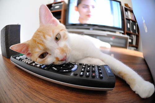 爱游戏app下载-昂热前场火力不济，教练组寻找进攻火药，昂热到底是谁