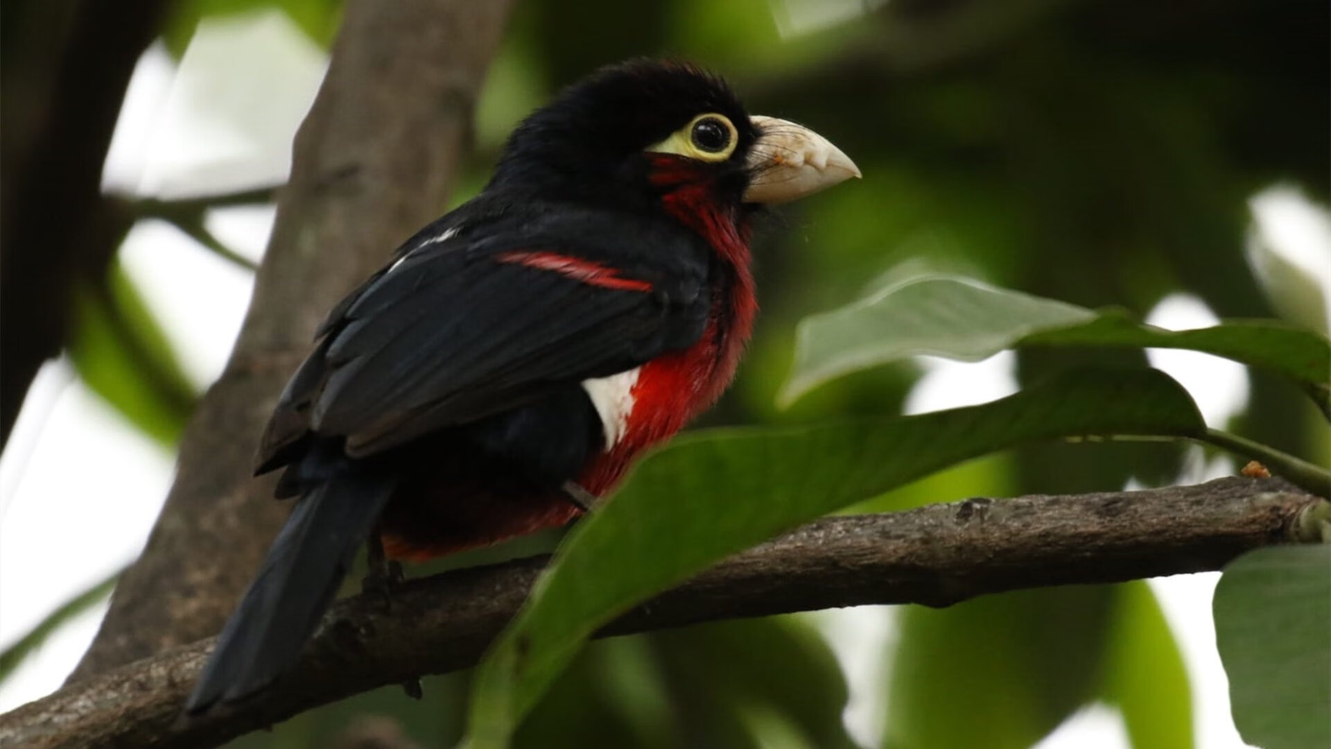 爱游戏中国官方登录入口网站-李佳蔓在射箭世界杯韩国站获得女子反曲弓团体冠军，全运会女子射箭李佳蔓