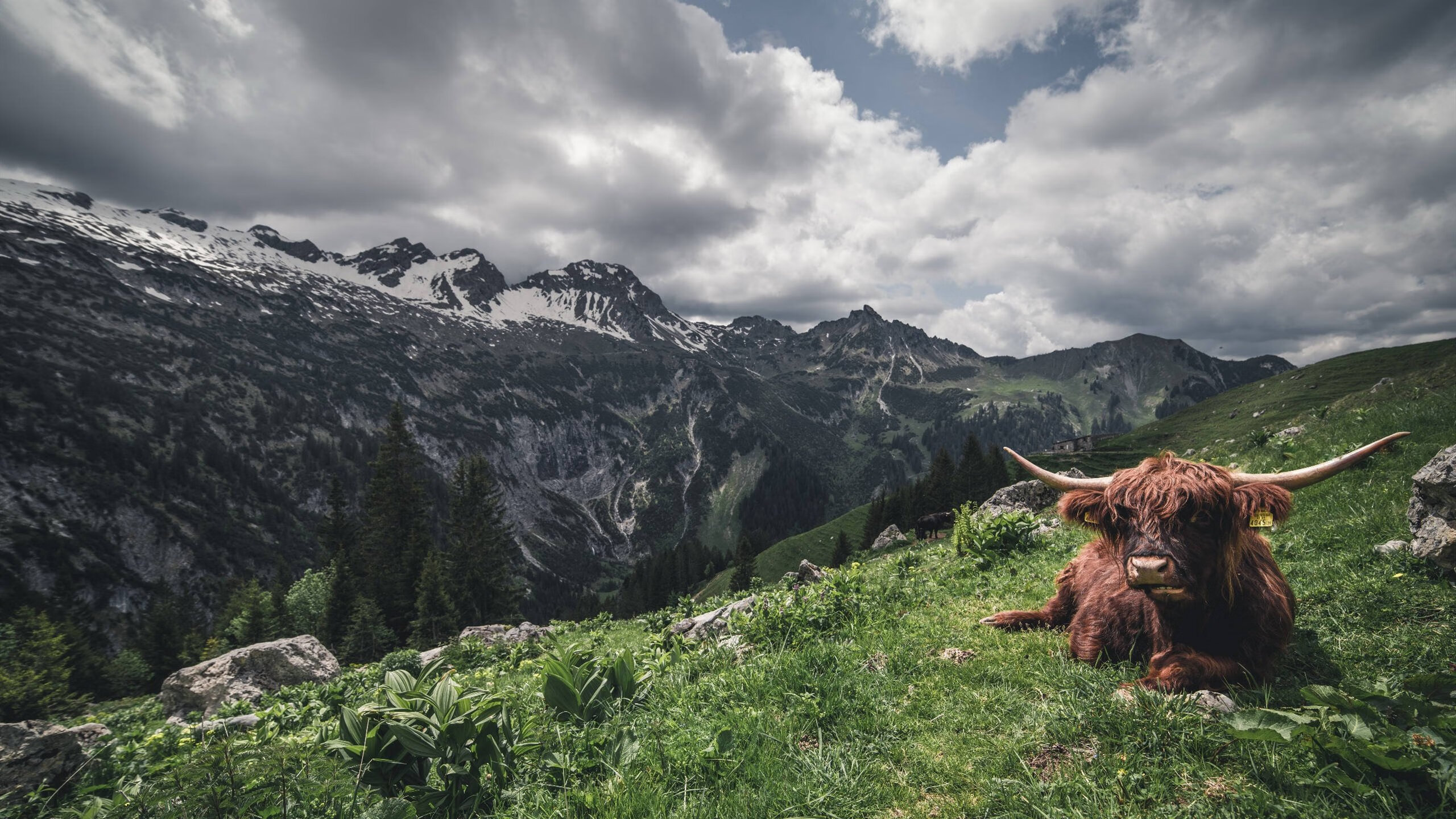 爱游戏综合娱乐-比利亚雷亚尔客场战胜竞技，提升信心迎战巴萨，比利亚雷亚尔战绩