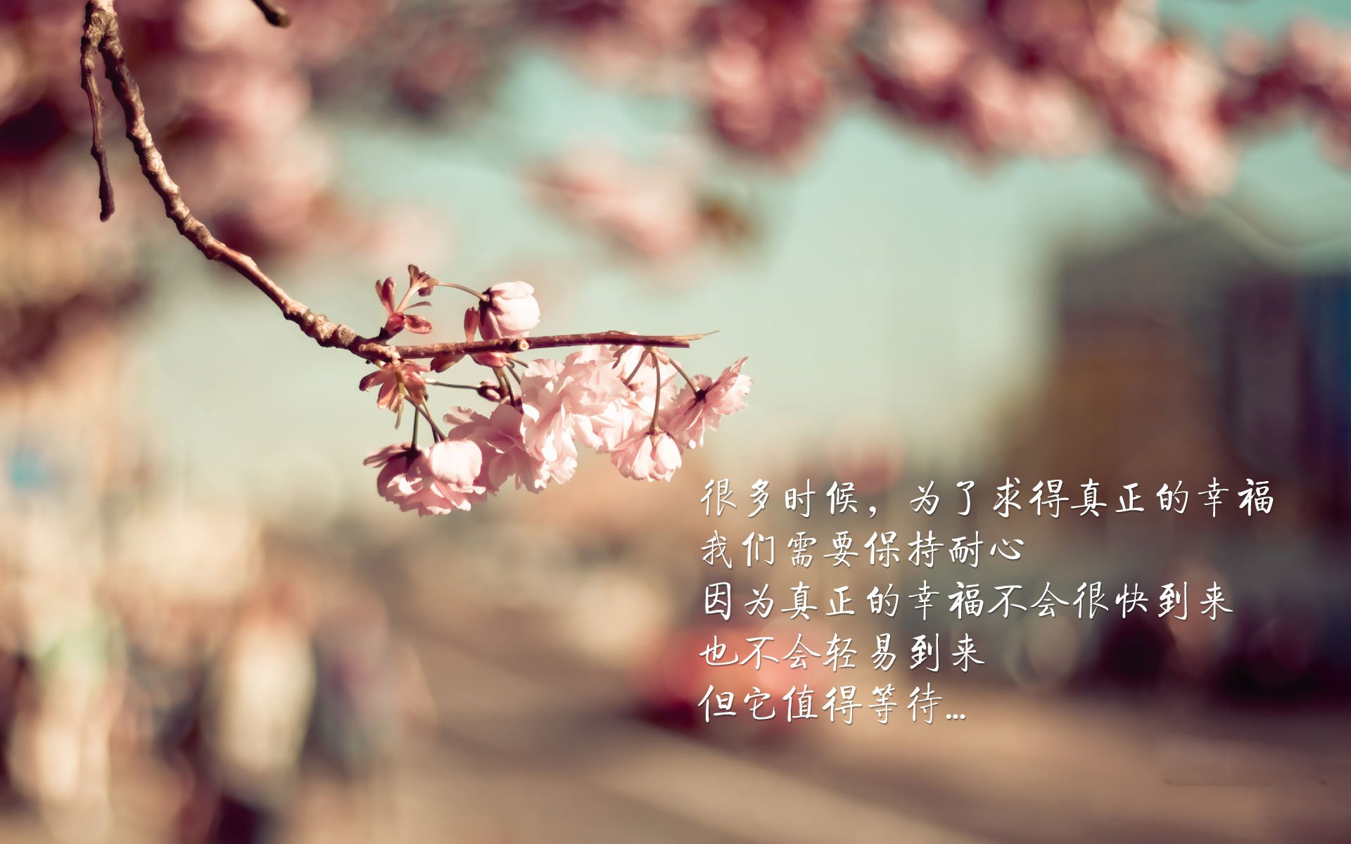 爱游戏-王者荣耀KPL春季赛火热开战，王者荣耀kpl春季赛比赛时间