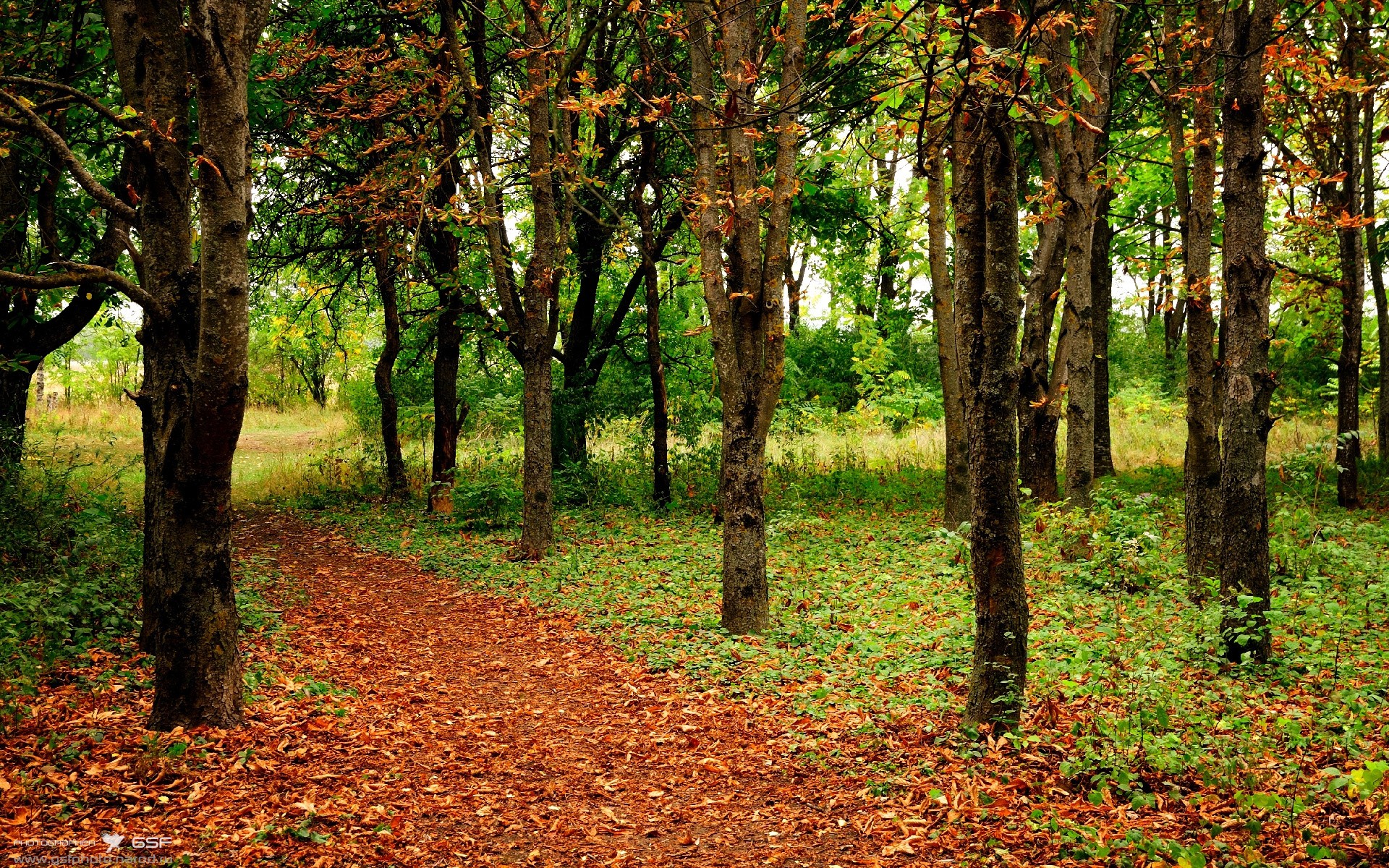 爱游戏在线登录入口-葡萄牙迎来球星回归，备战世预赛决赛阶段，葡萄牙队比赛时间