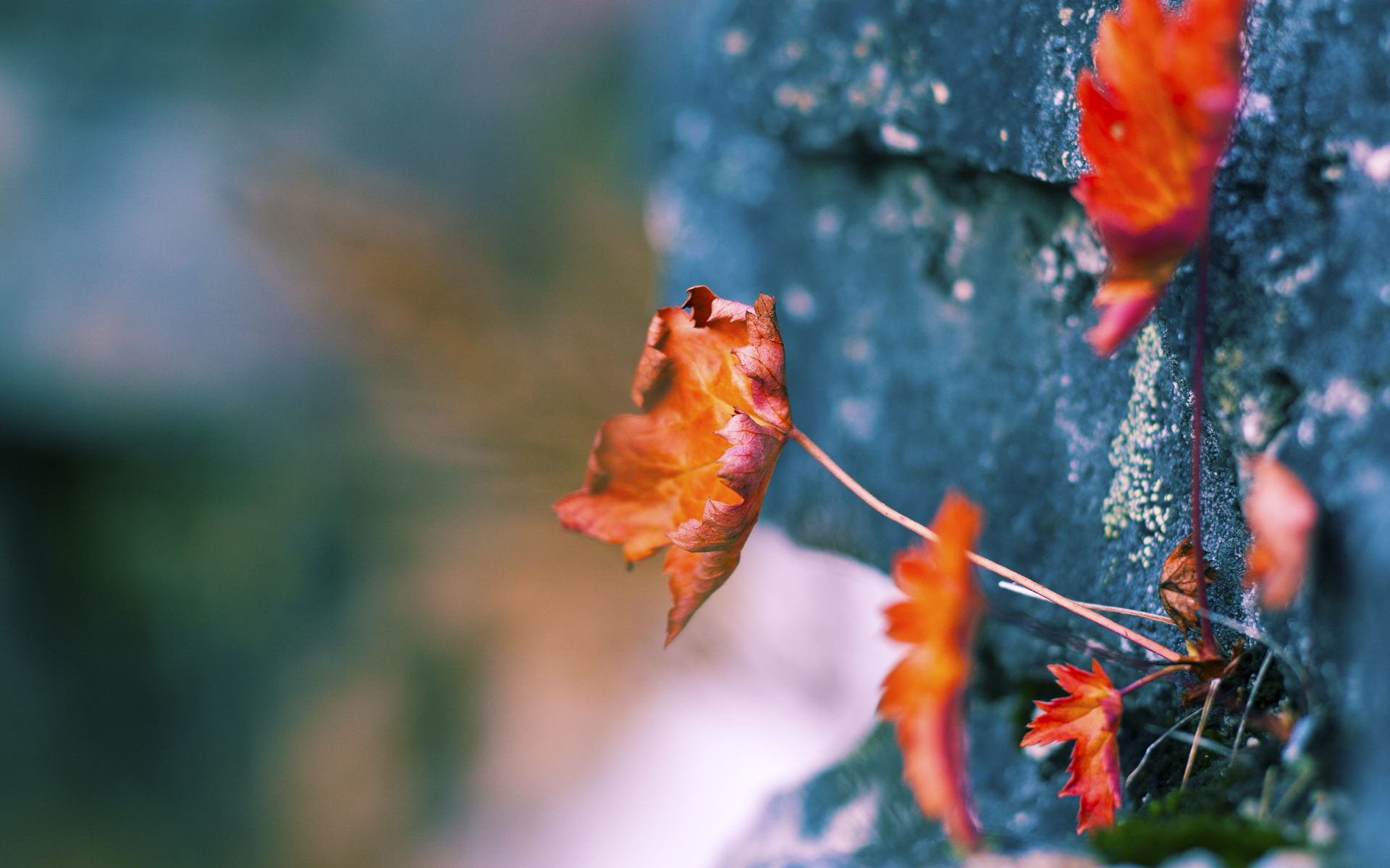 爱游戏体育官方网站-魔术队防守反击策略调整，魔术队的控卫