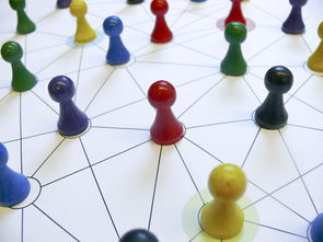 爱游戏体育-中国篮球教练员专业能力提升路径，篮球教练员的专业技能包括哪些方面