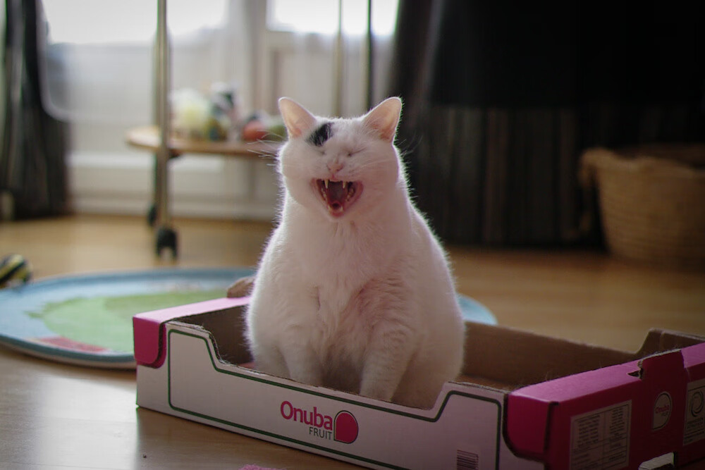 中国篮球青训课程改革,中国青少年篮球教学训练大纲