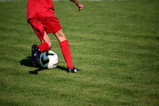 爱游戏体育APP下载-中超球队球员年龄结构，中超球队平均年龄