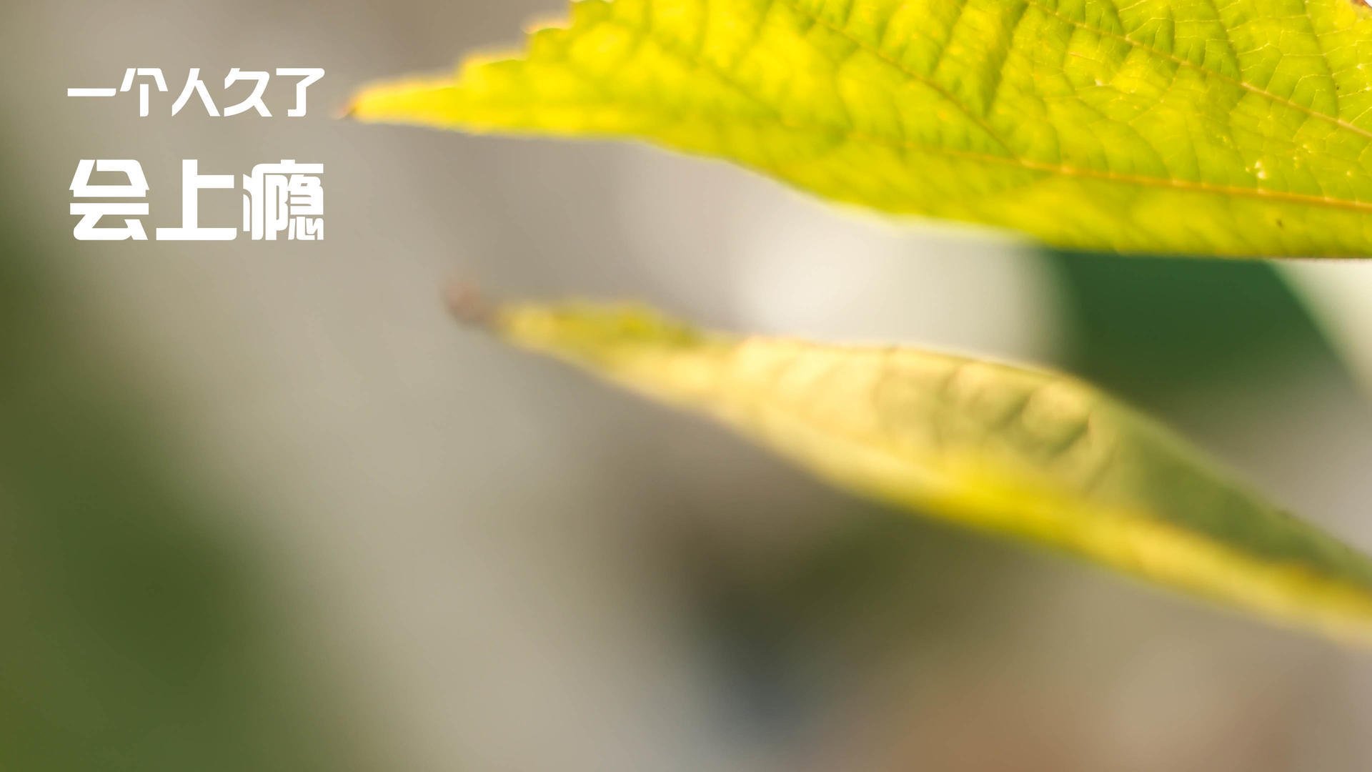 校园体育科技节品牌打造路径研究,请问学校科技或体育节的海报写一则简短的宣传语