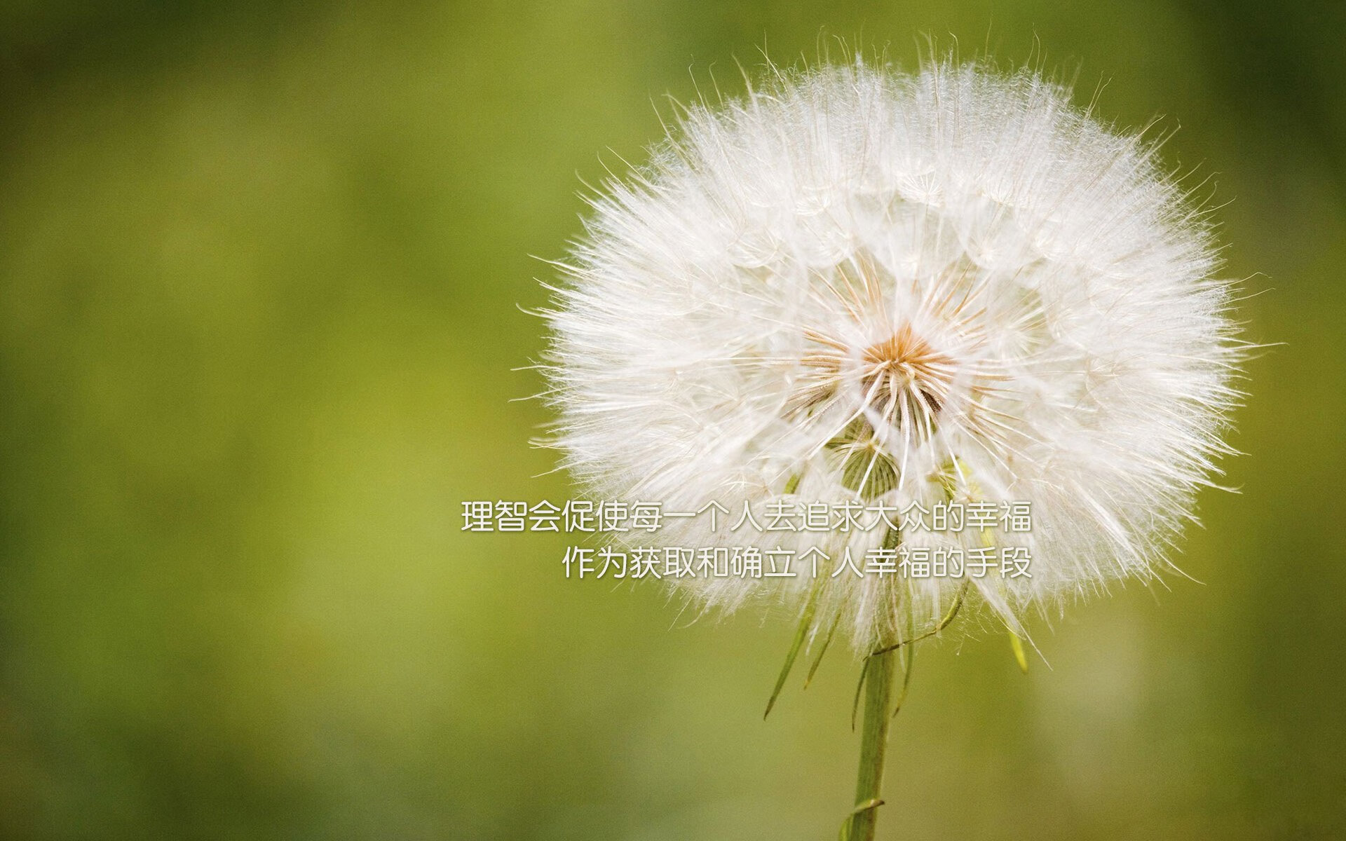 英超球队引入高强度冲刺分区模型优化中前场压迫策略，英超球队战术