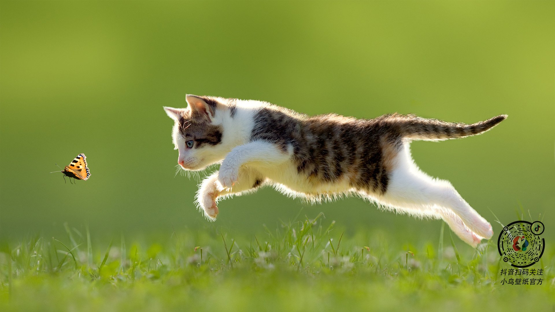 五大联赛逆风局中关键替补贡献数据分析，五大联赛最大比分逆转