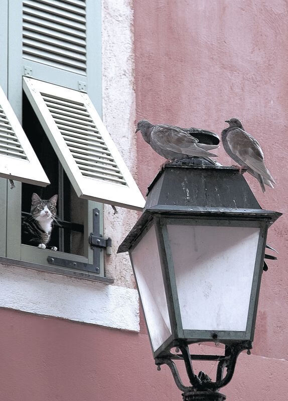 亚洲杯中国青年队爆冷 球迷信心受到打击,亚洲杯足球2021中国队