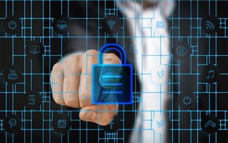 爱游戏体育平台-马术运动进校园课程体系初步建立，马术走进校园合作方案