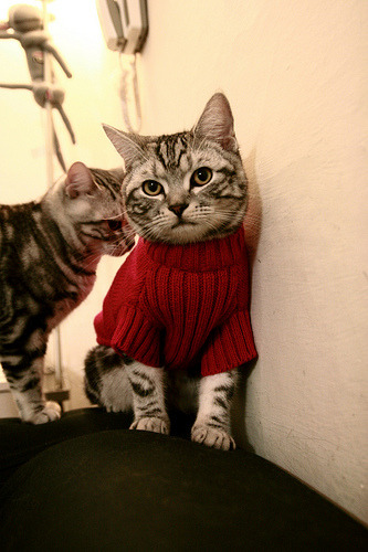 爱游戏官网-国际拳击锦标赛激烈对决，国际拳击规则