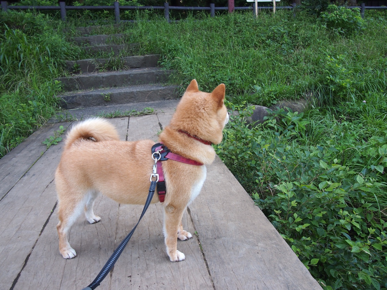 爱游戏综合娱乐-英超冠军终极追逐：悬念升级，精彩不停！，英超冠军争夺